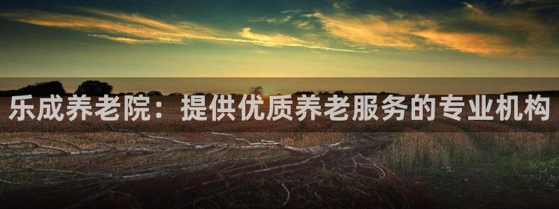 韦德新品