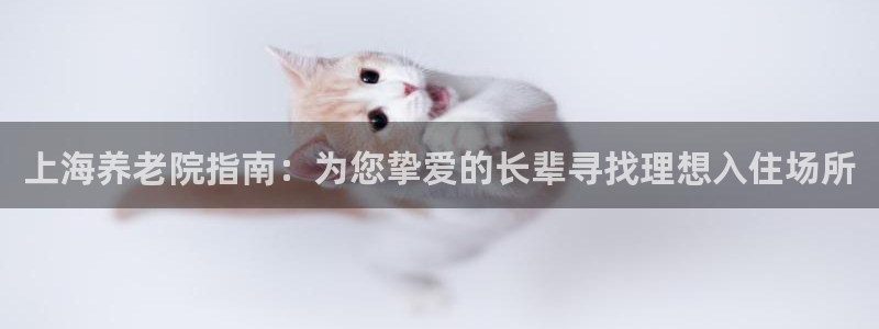 韦德1946网址