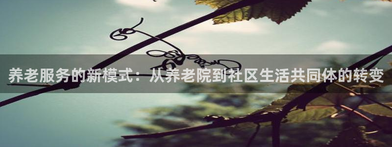 韦德国际体育