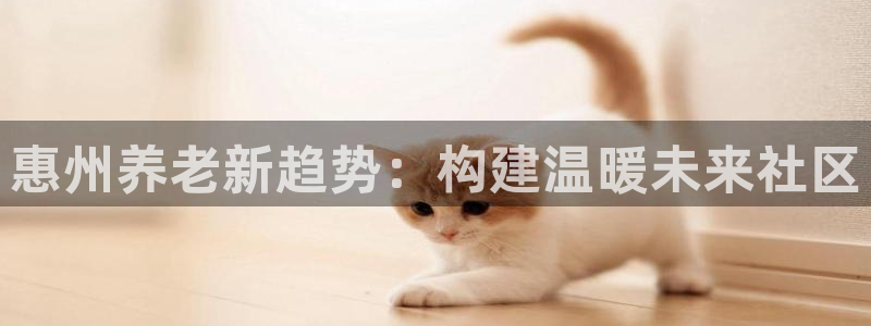 韦德1946手机版