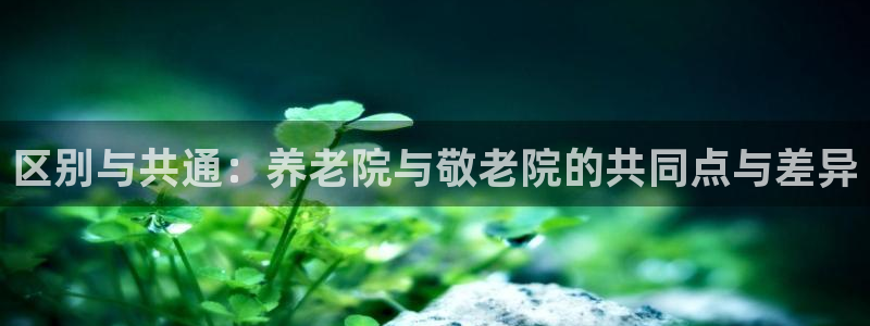 韦德1946官网最新版