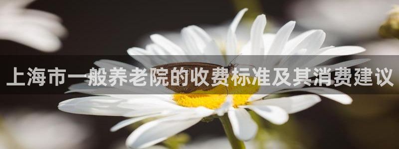 韦德是哪一届