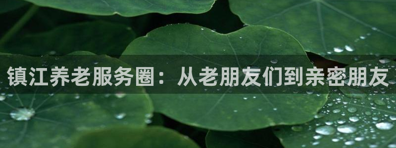 韦德官方网址