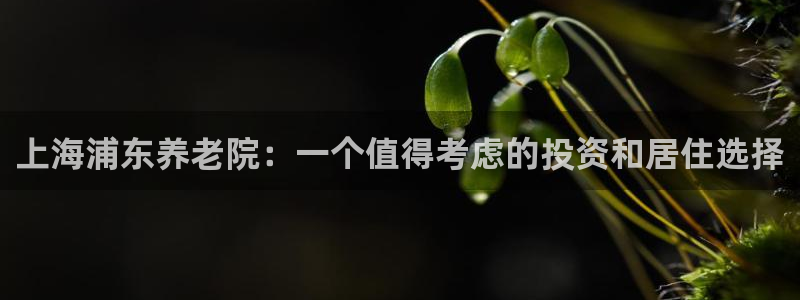 韦德8月22日开启中国行