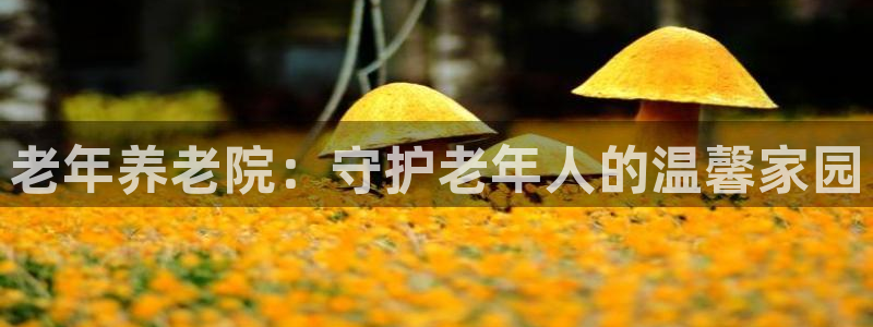 韦德app手机下载