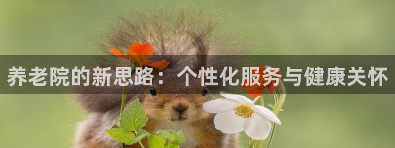 韦德1946最新网站