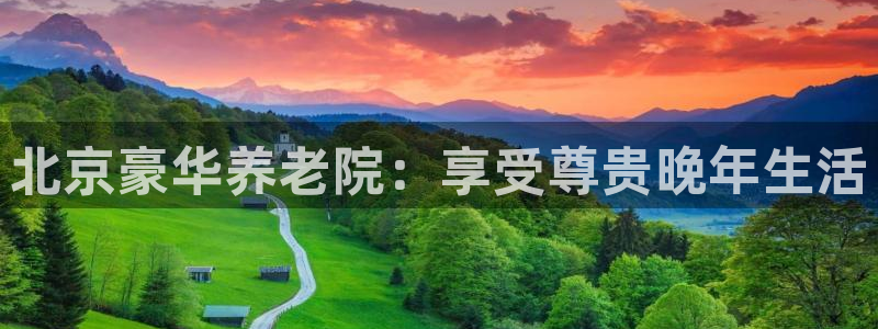 韦德1946始于英国