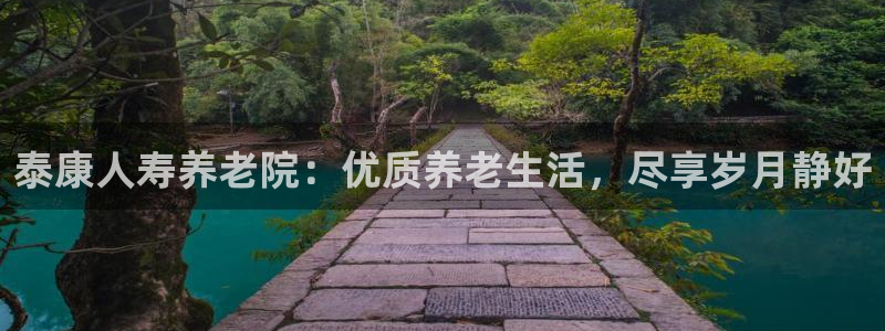 韦德网站是多少