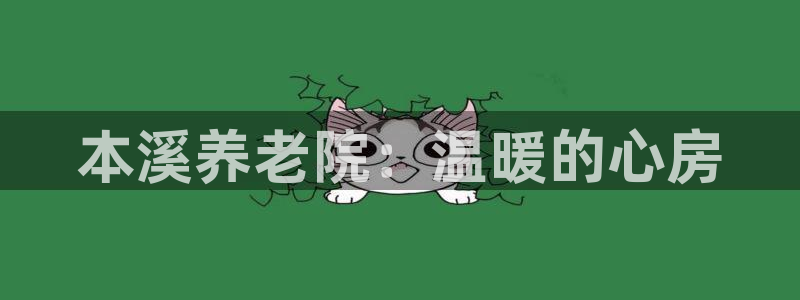 韦德网站是多少