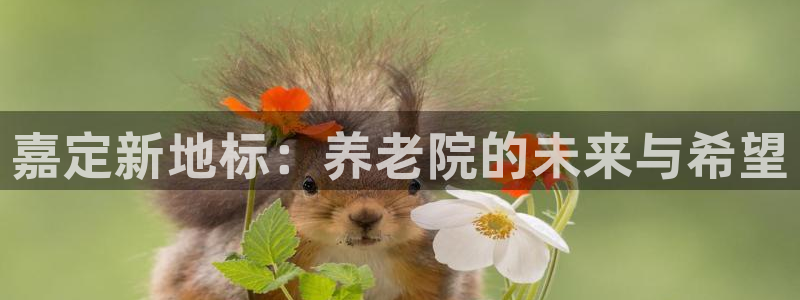 韦德游戏注册需要什么