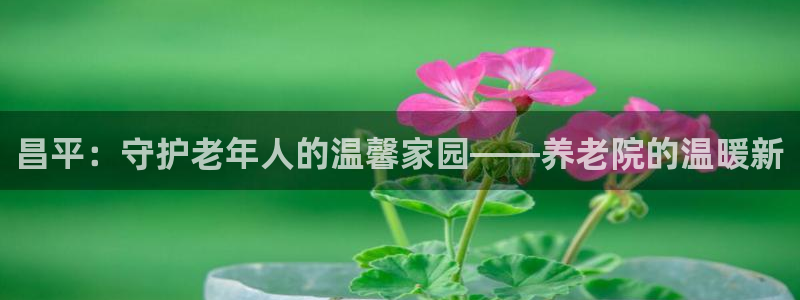 韦德官网注册推荐网站