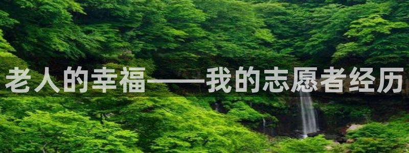 韦德1946bv1946