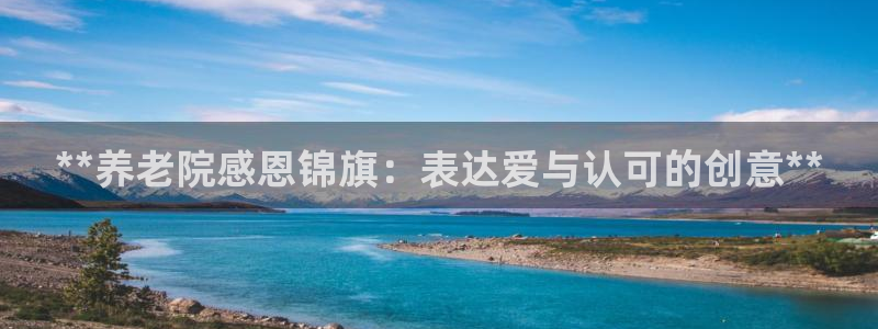韦德网站是多少