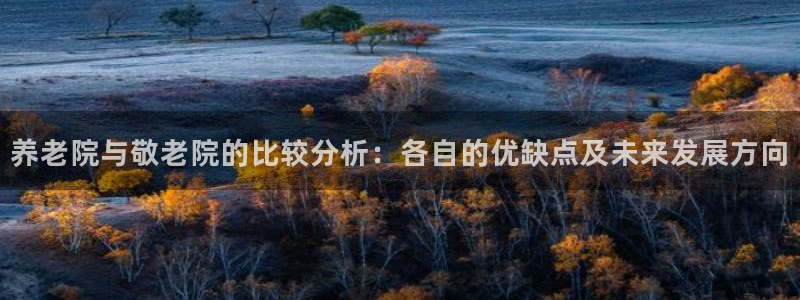 韦德1946官方网站