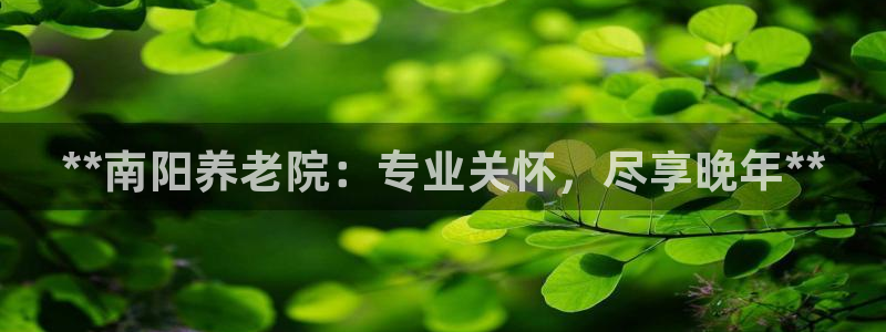 韦德网站是多少