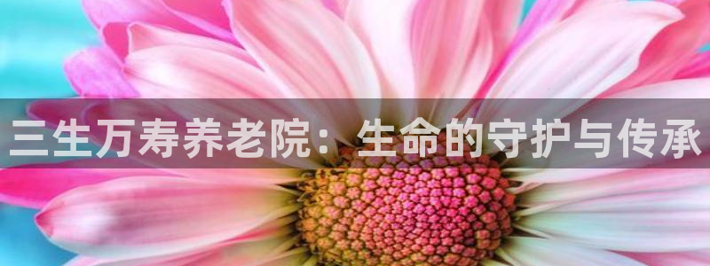 韦德1946手机网址