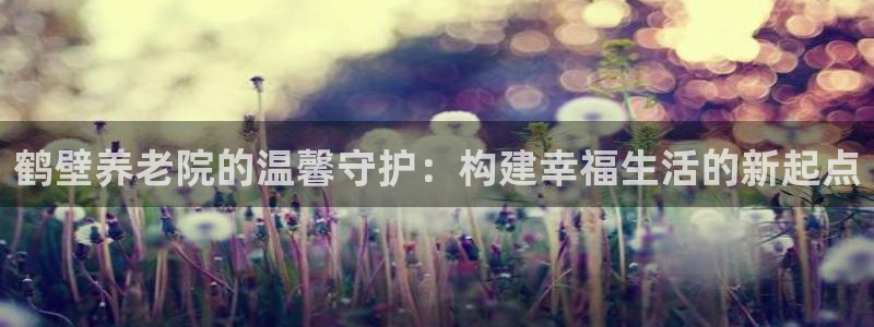 韦德网站是多少