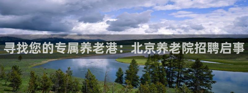 韦德1946体育
