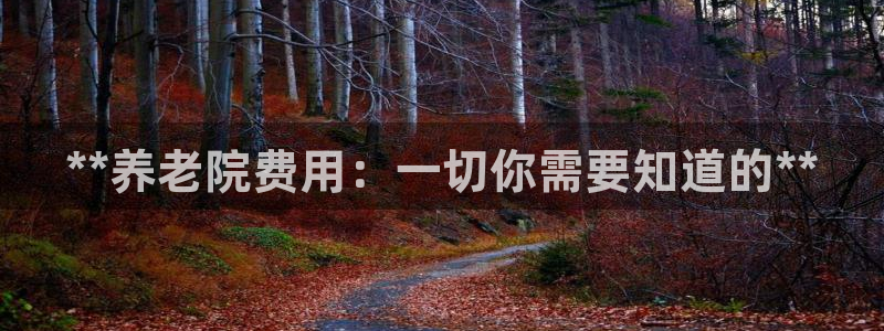 韦德官网注册推荐网站下载