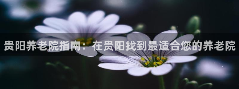 韦德游戏注册有风险吗