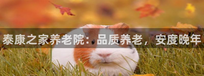 1946韦德找回密码