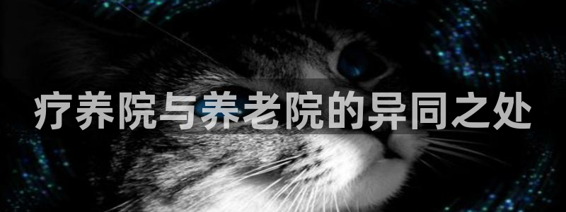 韦德游戏注册需要什么