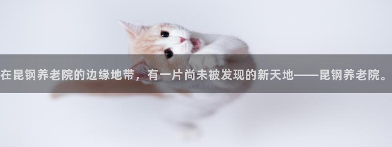 韦德游戏注册有风险吗