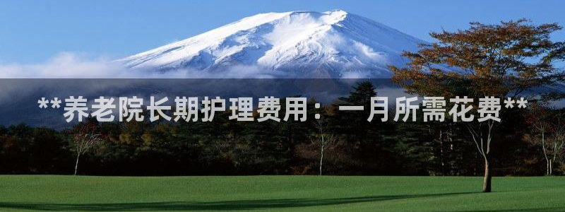 韦德1946体育官方入口