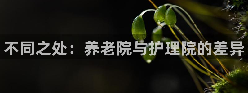 韦德观战总决赛G3