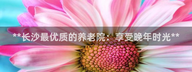 韦德游戏注册有风险吗