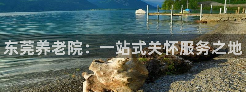 1946韦德找回密码