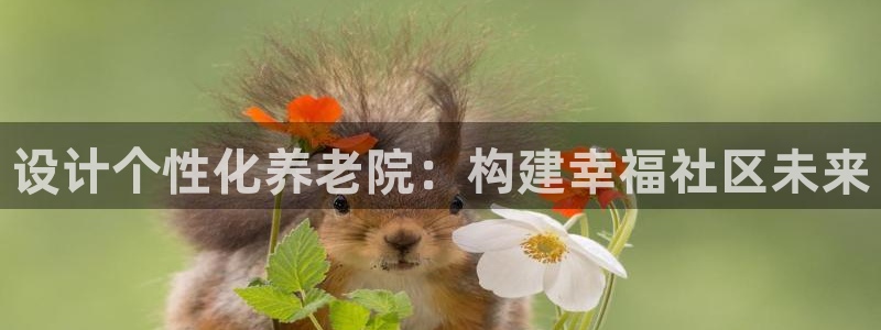 韦德官网注册推荐网站是什么