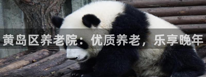 韦德游戏注册是搞什么的