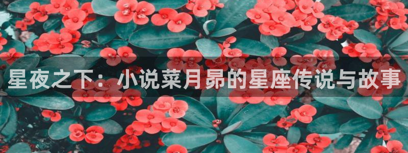 大明国师全文txt下载八零